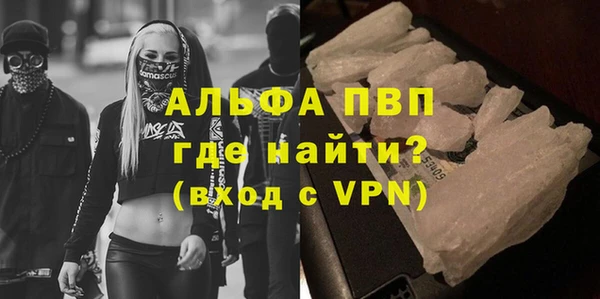 прущие крисы Бородино