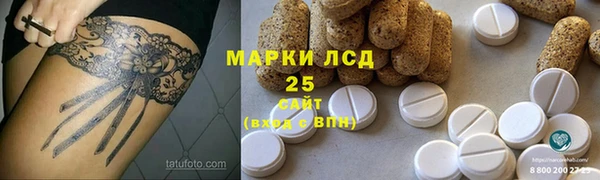 прущие крисы Бородино