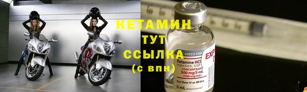 прущие крисы Бородино