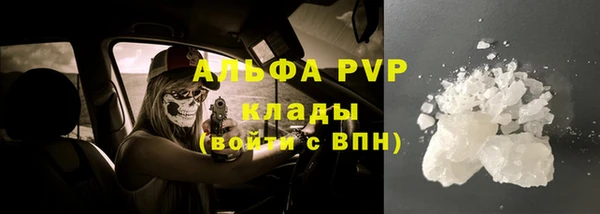 прущие крисы Бородино