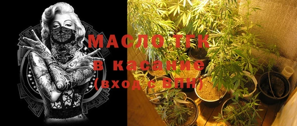 прущие крисы Бородино