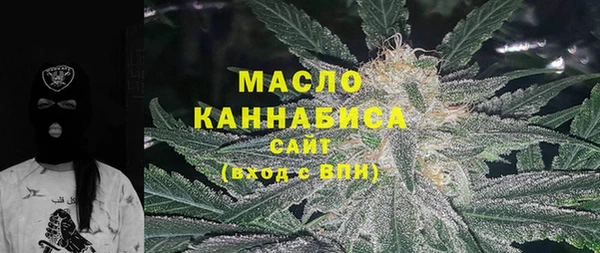 прущие крисы Бородино