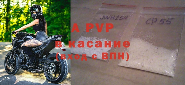 прущие крисы Бородино